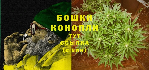 дживик Володарск